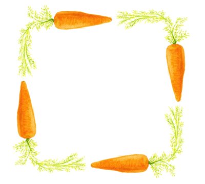 Hand drawn watercolor frame with fresh carrots and leaves / 葉付き人参の手描き水彩フレーム枠