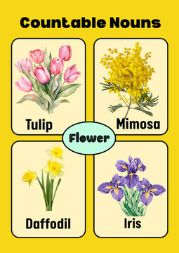 Educational flashcard featuring watercolor illustrations of countable nouns like tulips, mimosa, daffodil, and iris flowers for kids learning english vocabulary