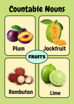 Educational countable nouns fruit poster, plum jackfruit rambutan and lime vocabulary chart, english learning visual aid