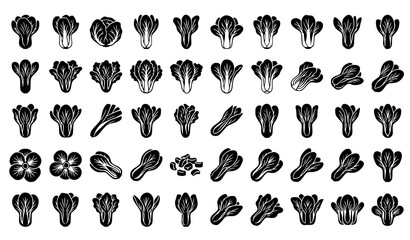 Fototapeta premium Premium bok choy vegetable silhouette vector pack with fresh organic leafy greens isolated on white background