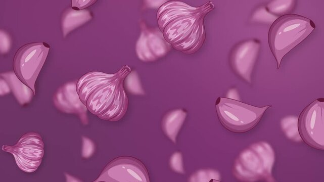 Falling Garlic Bulbs and Cloves Animation on Purple Background