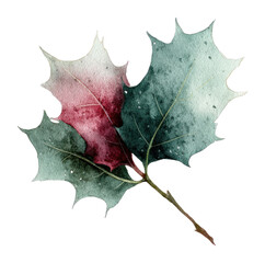 Fototapeta premium PNG Watercolor autumn leaf illustration.