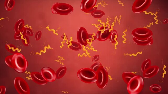 Microscopic Animation of Red Blood Cells and Bacteria Drifting Right