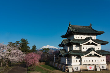 Obraz premium 満開の桜と弘前城天守閣と残雪の岩木山