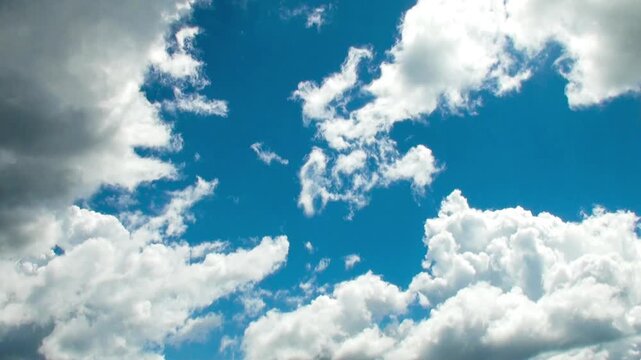 激しい上昇気流で急成長する夏の積乱雲