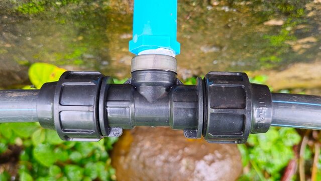 HDPE pipe compression fitting T joint connected to blue PVC water pipe outdoors. Close up of HDPE pipe joint connector connected to PVC pipe passing through wall