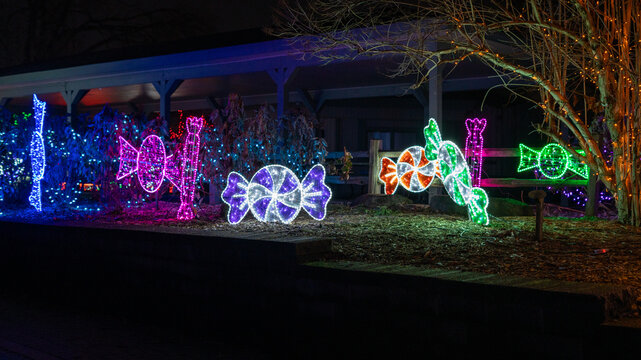 Candy and Peppermint Christmas Lights at Brookfield Zoo Illinois