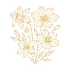 Fototapeta premium PNG Elegant floral illustration on black.