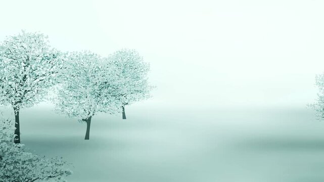 Snowy Trees in Winter Fog 4K