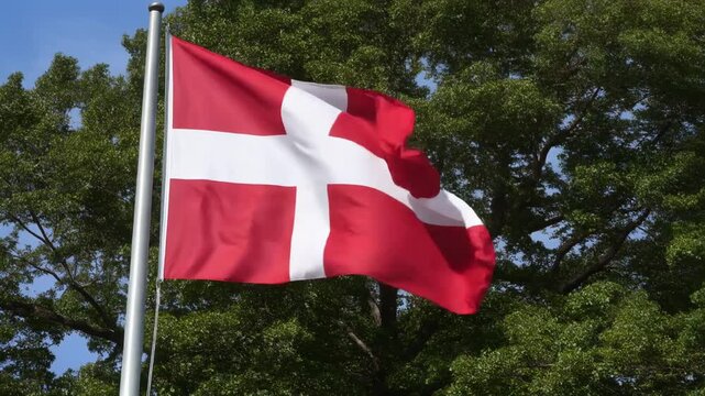 Danish Flag Waving Outdoors 4K Generative AI
