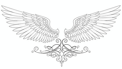 Fototapeta premium Detailed black and white sketch of majestic spread angel wings decorated with elegant baroque swirls underneath.