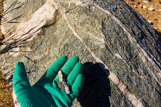 Large migmatite boulder featuring intricate metamorphic banding patterns lies in a gravel pit as a worker hand in a green glove holds a small stone fragment for scale comparison