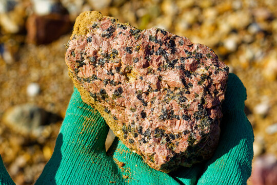Close-up of a raw porphyritic pink granite stone held in a gloved hand, showcasing large potassium feldspar crystals, quartz grains, and dark minerals found in a quarry site