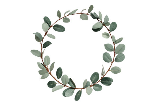 Open circular eucalyptus wreath with dark and pale green leaves