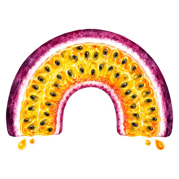 Rainbow passion fruit illustration with vibrant colors and detailed texture on a transparent background