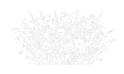 Fototapeta premium Detailed sprawling bush sketch illustration for park landscape design
