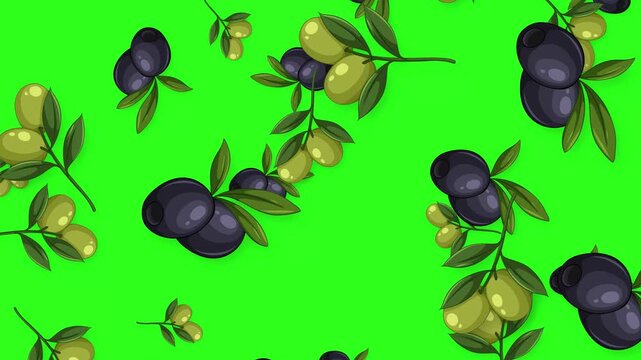 Falling Black and Green Olives Animation on Green Screen Background