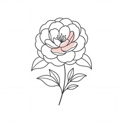 Obraz premium Minimal Line Drawing of a Peony Flower