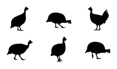 Obraz premium Guinea Fowl Silhouettes, Farm Bird Vector Icons, Poultry Graphics, Agricultural Wildlife