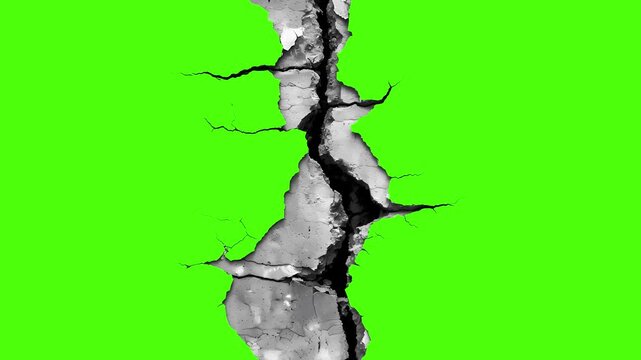 3D medical animation of human aorta with branching arteries and blood flow in vibrant green background