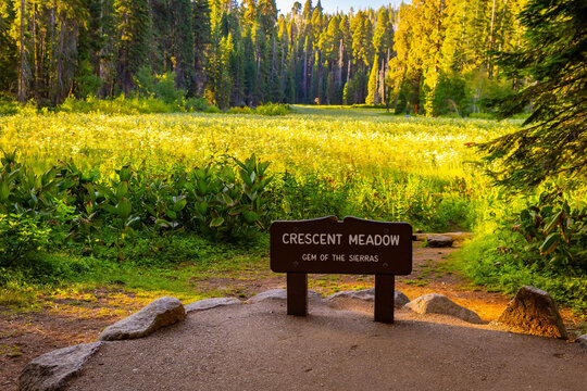 Crescent Meadow glows vibrant at Sequoia sunset