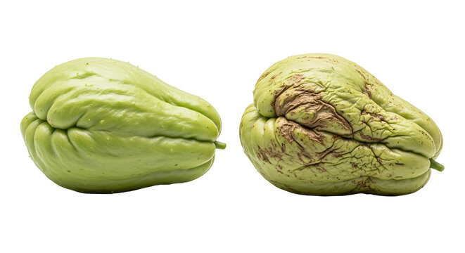 Two green soursop fruits side by side.