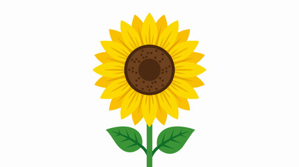 Fototapeta premium Bright Yellow Sunflower with Green Leaves and Stem Isolated on White Background for Summer Floral Design
