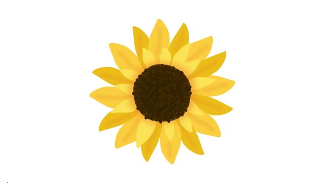 Bright and cheerful hand-drawn sunflower illustration capturing the essence of summer, natural beauty, and positive energy