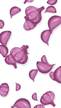 Vertical Animation of Purple Garlic Bulbs and Cloves Falling on White
