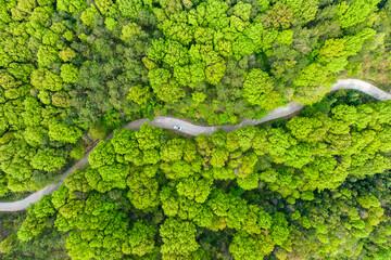 Fototapeta premium A winding paved road cuts through a lush green forest, captured from an aerial perspective, with a small vehicle traveling along the curved path.