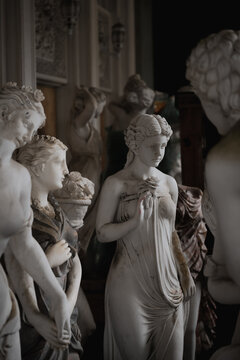 Collection of classical marble statues displayed in a museum gallery