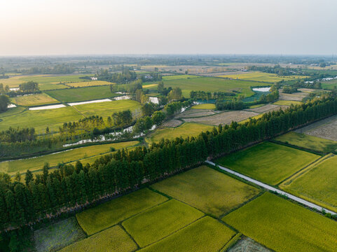 An aerial shot of patchwork farmland, tree belts, water bodies and rural paths under a clear sky.