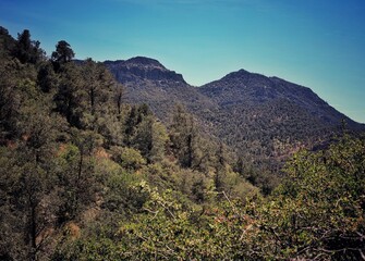 Obraz premium Forest-Covered Mountain Ridges Along the Pacific Crest Trail