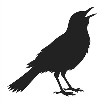 Black crow silhouette vector illustration isolated on white