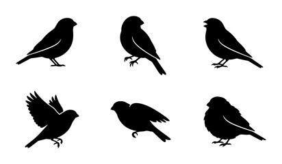 Fototapeta premium Bird Silhouettes Vector Set: Small Songbirds in Various Poses, Flying and Perched