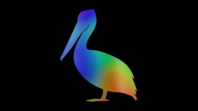 Pelican silhouettes featuring colorful, abstract patterns, loop, alpha channels