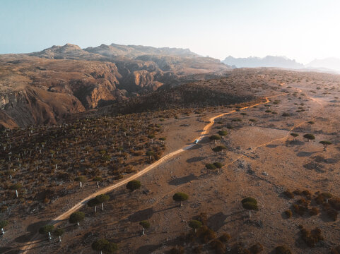 Aerial view of Campsite Firmihin Forest with its iconic dragon blood trees, a winding dirt road, and rugged rocky terrain in Asma, Socotra, Yemen.
