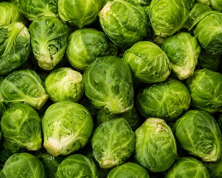 Fresh Brussels Sprouts Pile Up For Harvest