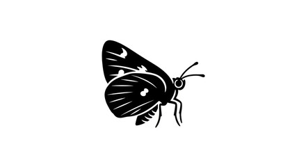 Black butterfly silhouette on white background. © A