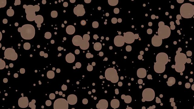 Noise fractal abstract background material background video irregular abstract