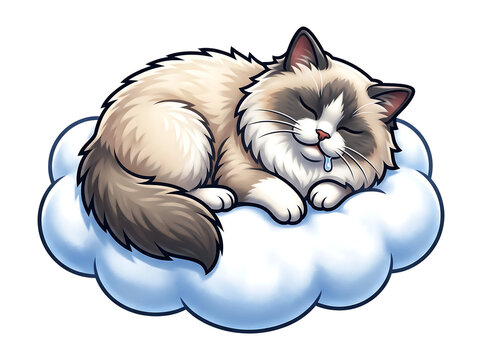 Cute ragdoll cat sleeping peacefully on fluffy cloud dreaming sweet dreams pet companion.