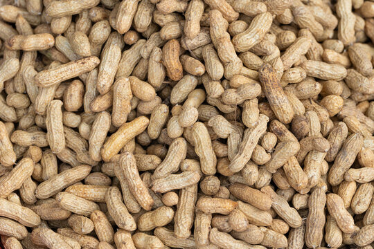 Raw Peanuts in Shells Piled Together at Traditional Market