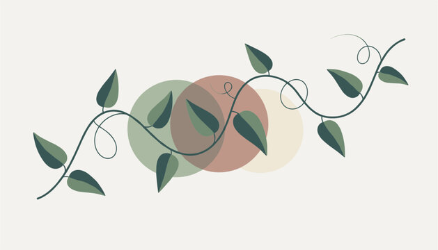 Green leafy vine curling across three pastel-colored circles on a light cream background, organic design element.