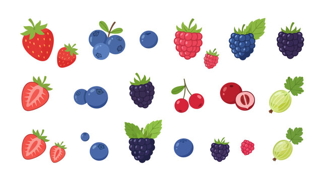 A collection of various fresh berries and fruits in a flat vector illustration style.
