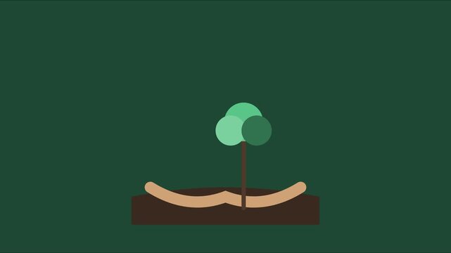 Animated tree growing and moving in soil flat motion animation 4k nature