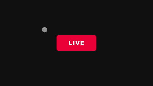 Live streaming broadcast indicator button with blinking red recording for digital media and online creation animation 4k