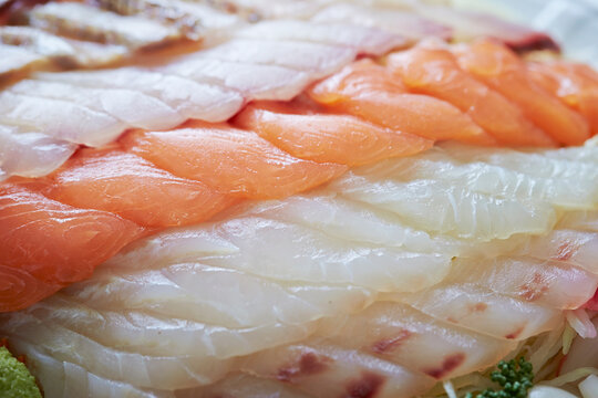 Fresh sashimi on a plate