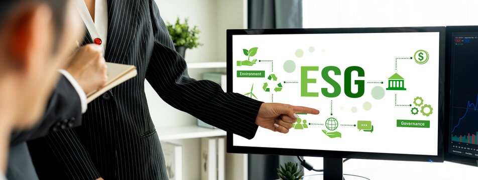 ESG environmental social governance policy for brisk business to set a standard to achieve high ESG score