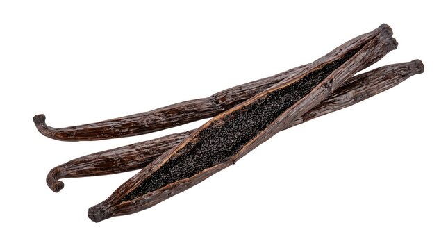 Dried vanilla beans tied in bundle for gourmet cooking and natural flavoring ingredients