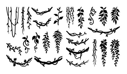 Fototapeta premium Tropical Jungle Liana and Hanging Vine Silhouette Vector Collection Rainforest Plant Elements